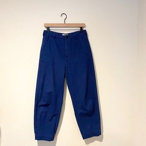 Everlane Arc Canvas Pant 6 Blue